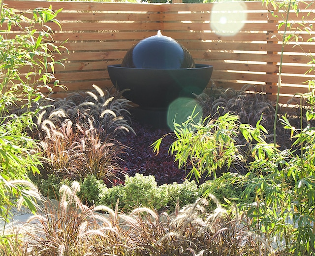 Verge Garden Ideas for Perth: Council Rules and Low-Water Designs