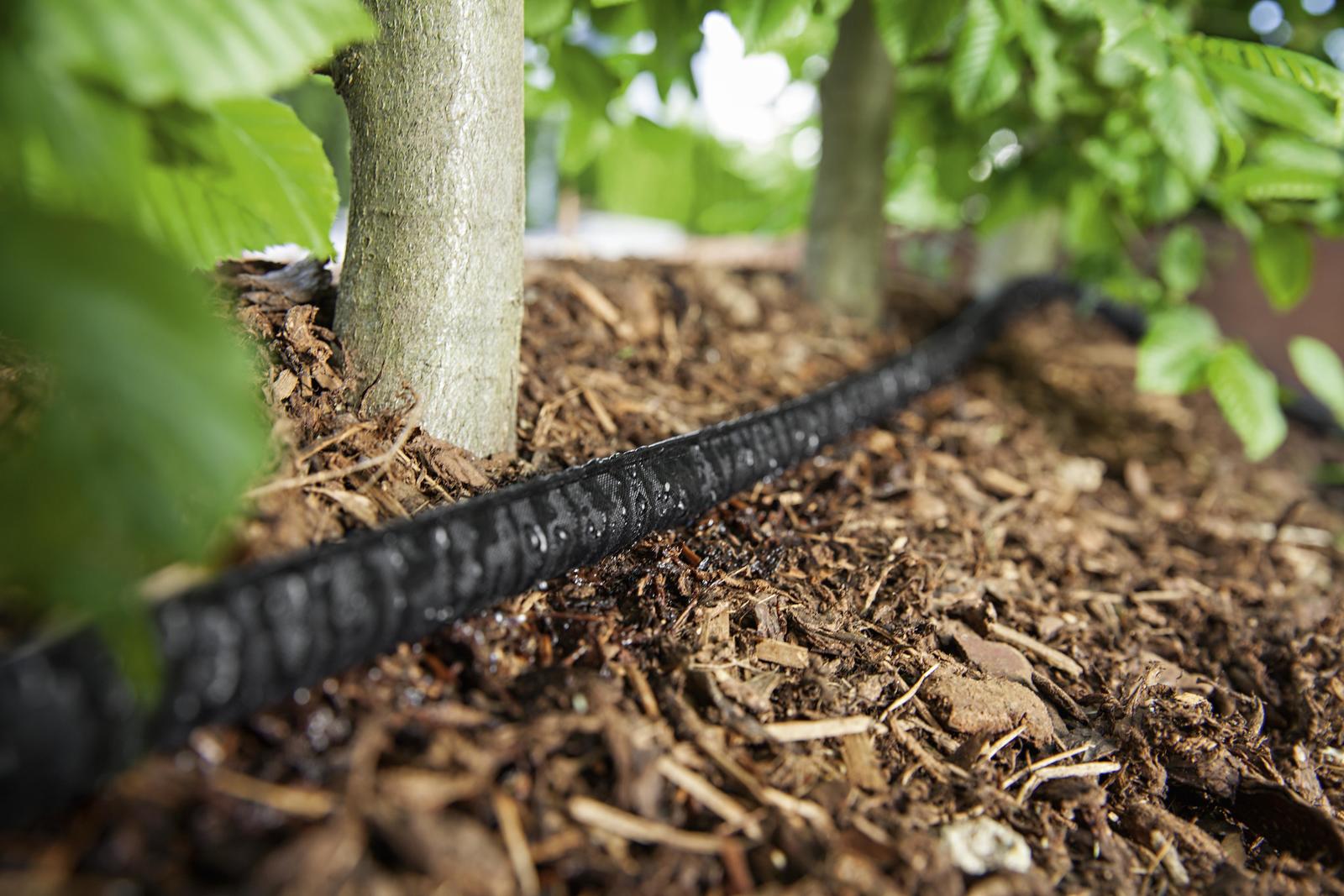 Perth's Sprinkler Roster Explained: Watering Days and Staying Compliant